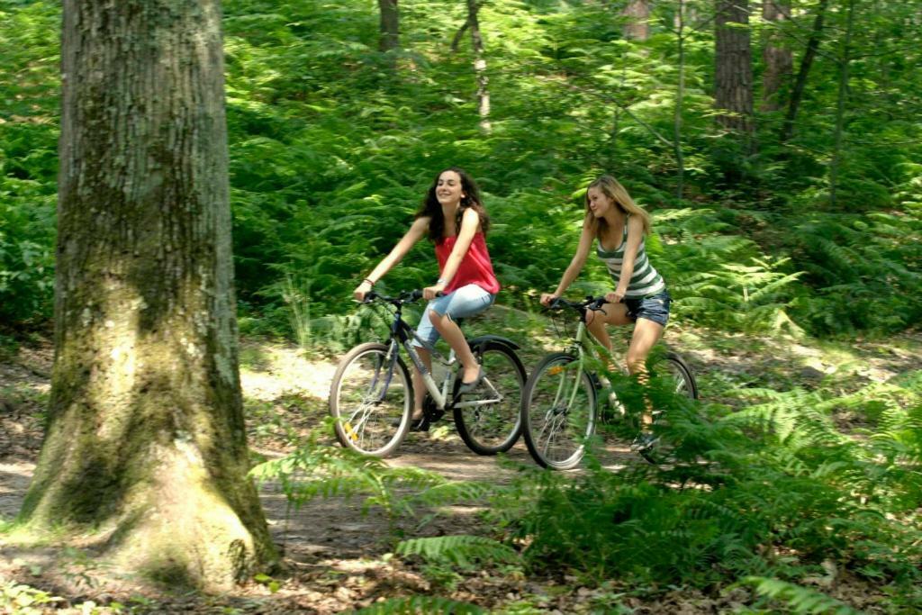 Etape Foret Fontainebleau Climb & Randonnees Arbonne-la-Foret ภายนอก รูปภาพ